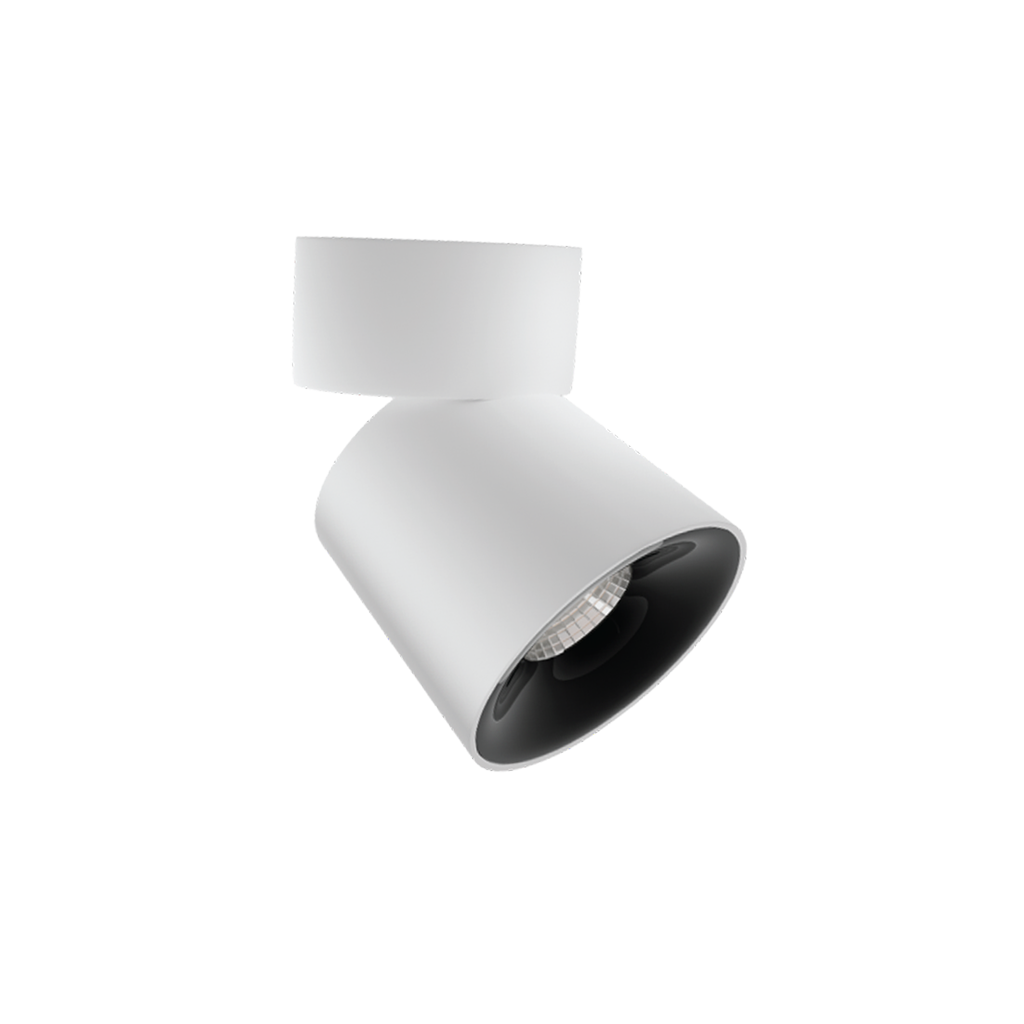 Flexi