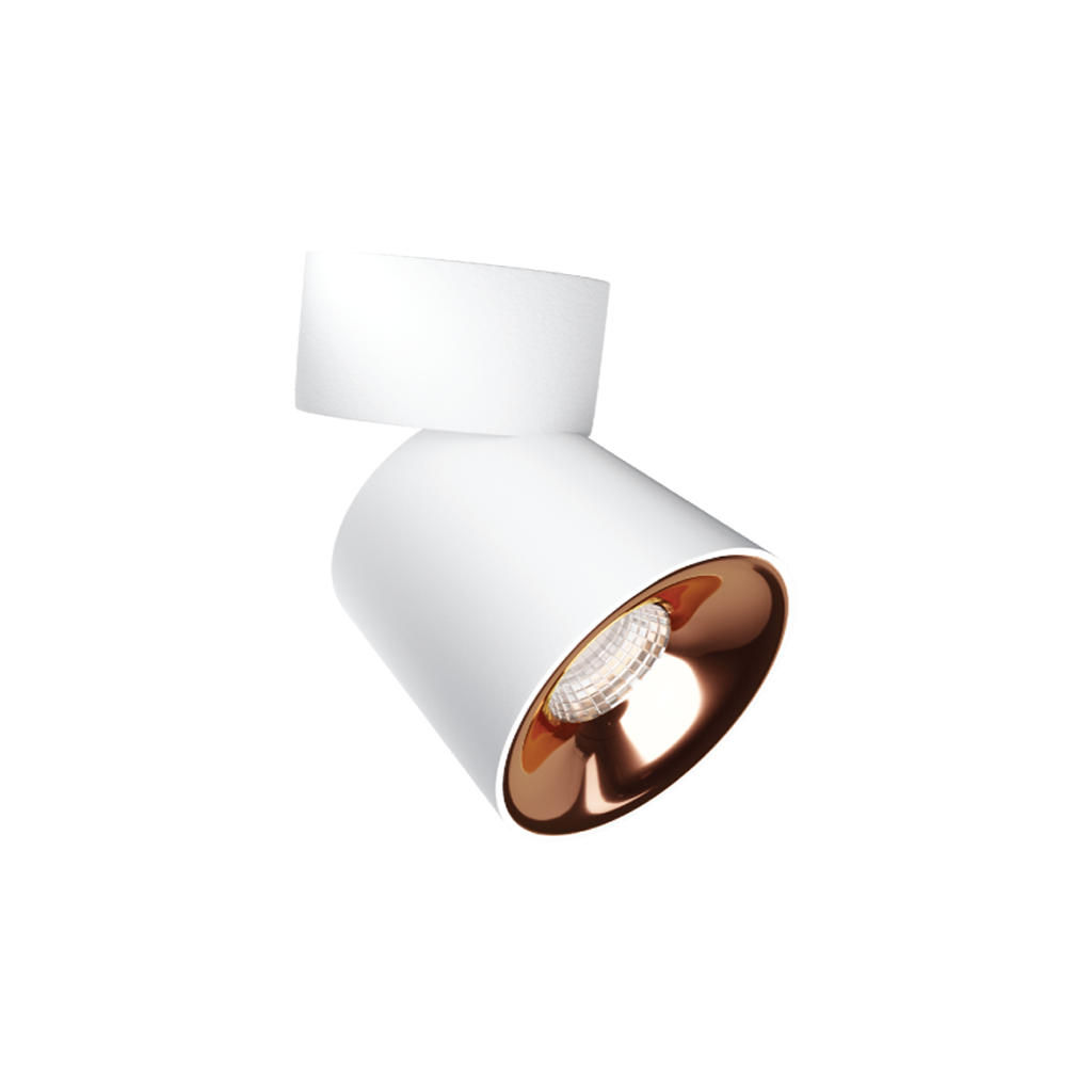 Flexi